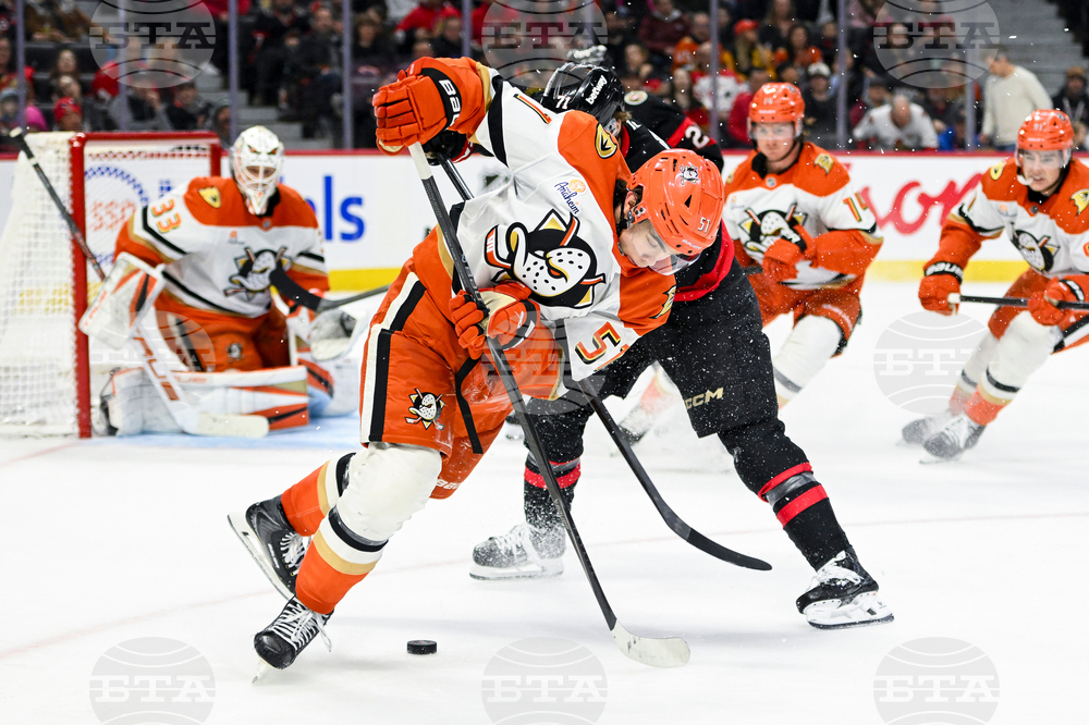 Ducks Senators Hockey