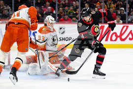 Ducks Senators Hockey