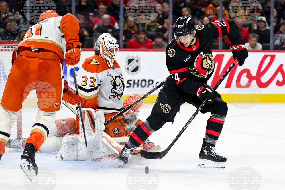 Ducks Senators Hockey