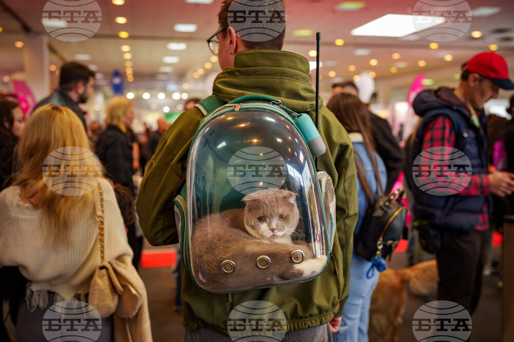 Romania Pet Expo