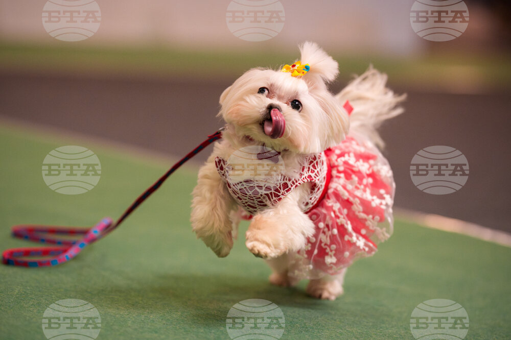 Romania Pet Expo