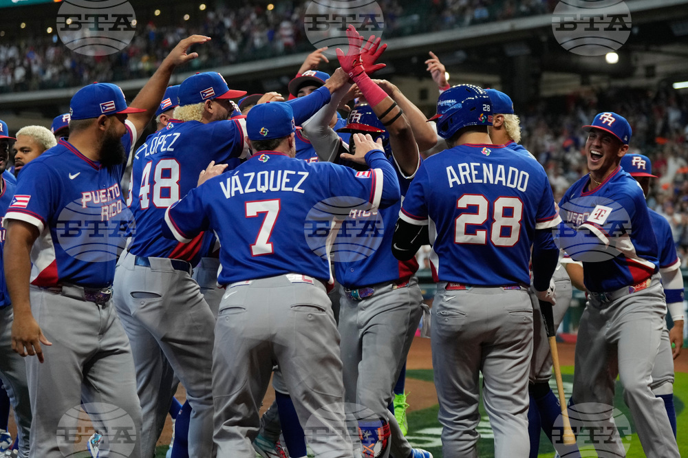 WBC Puerto Rico Italy Baseball