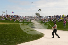 Players Championship Golf