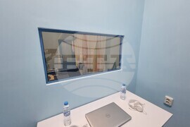 Плевен - Синя стая - гимназия