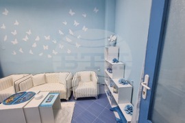 Плевен - Синя стая - гимназия