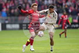 MLS Red Bulls Toronto Soccer