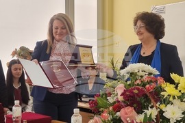 Плевен - Синя стая - гимназия