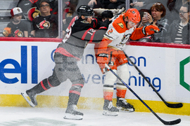 Ducks Senators Hockey