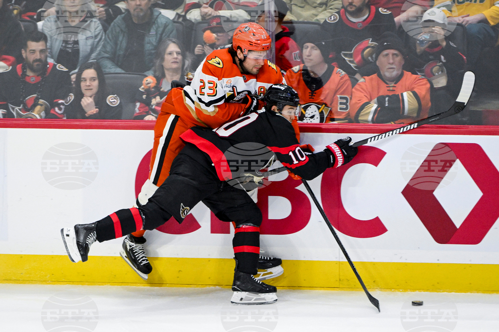 Ducks Senators Hockey