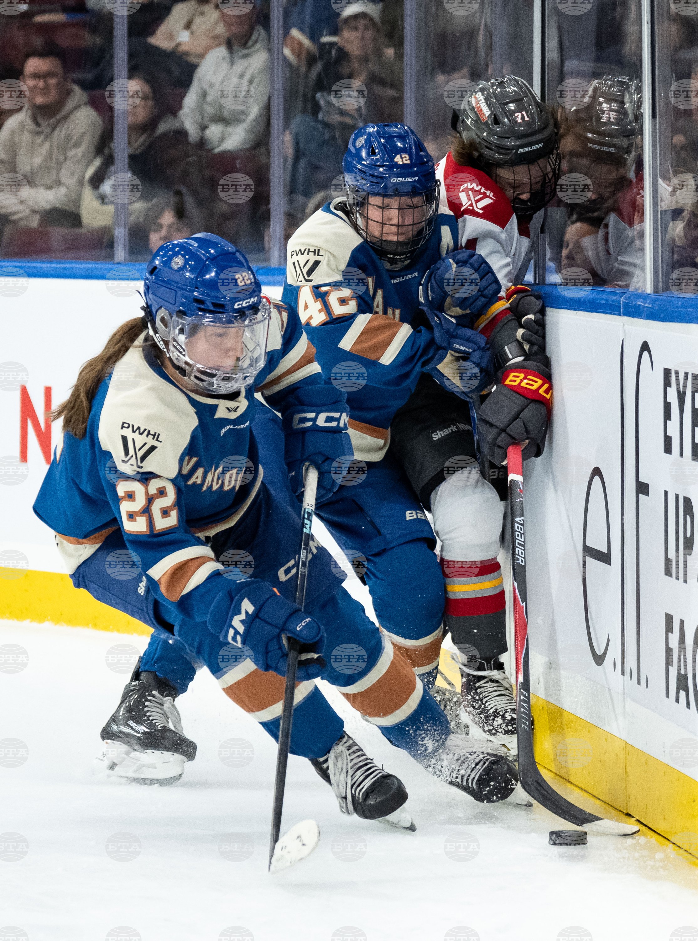 PWHL Charge Goldeneyes Hockey