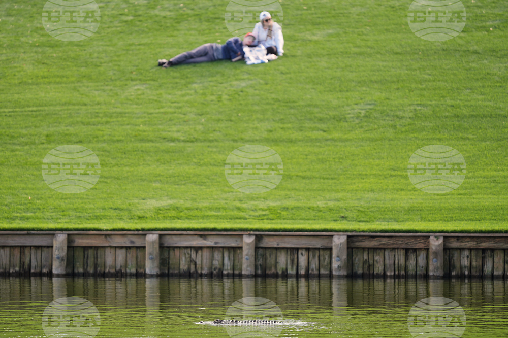 Players Championship Golf