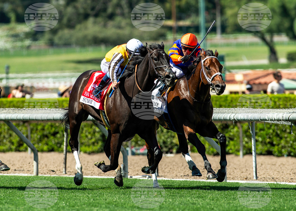 Santa Anita Horse Racing
