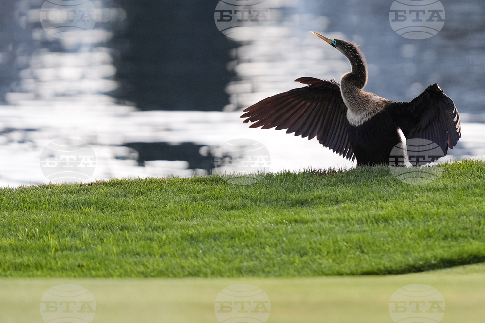 Players Championship Golf