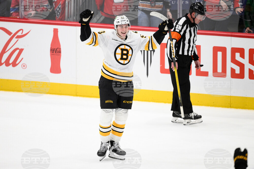 Bruins Capitals Hockey