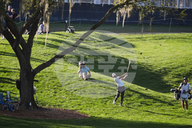 Players Championship Golf