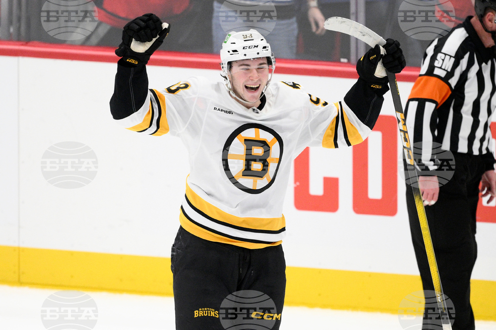 Bruins Capitals Hockey