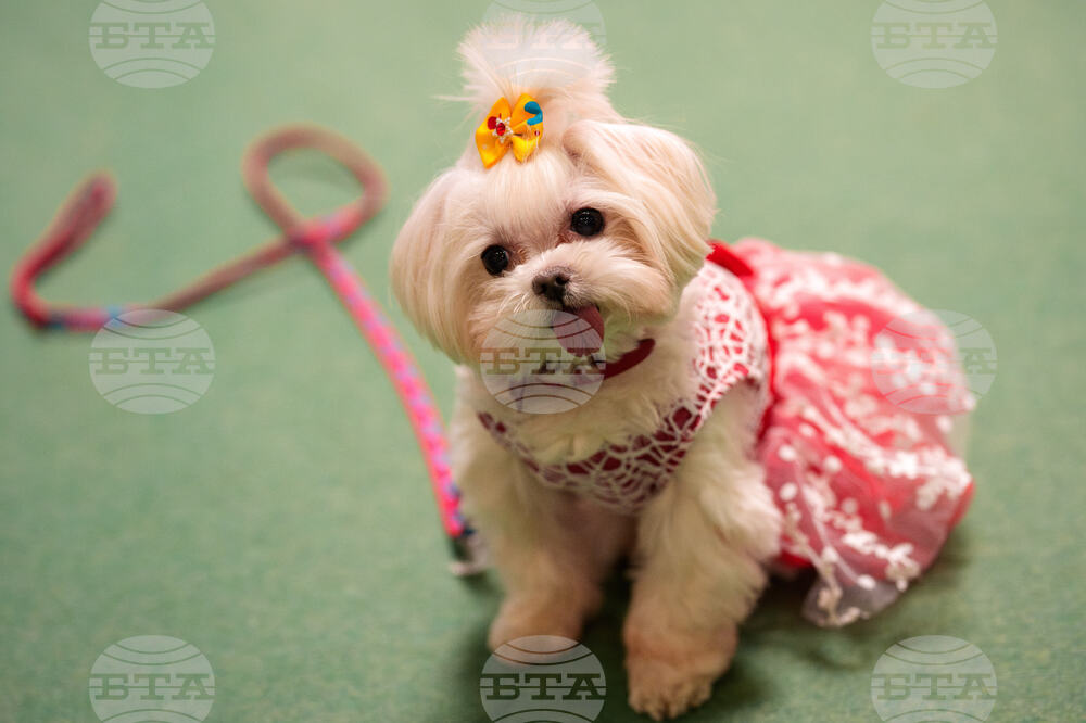 APTOPIX Romania Pet Expo