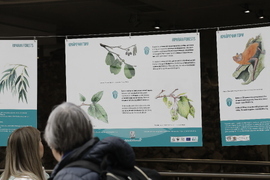 Седмица на гората - изложба - "Чудесата на природата: От семе до гора"