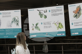 Седмица на гората - изложба - "Чудесата на природата: От семе до гора"