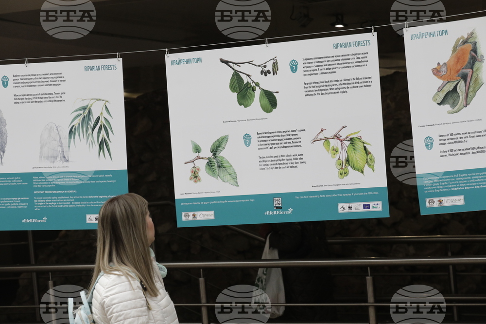 Седмица на гората - изложба - "Чудесата на природата: От семе до гора"