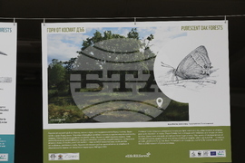 Седмица на гората - изложба - "Чудесата на природата: От семе до гора"