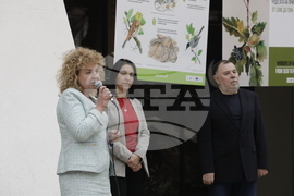 Седмица на гората - изложба - "Чудесата на природата: От семе до гора"