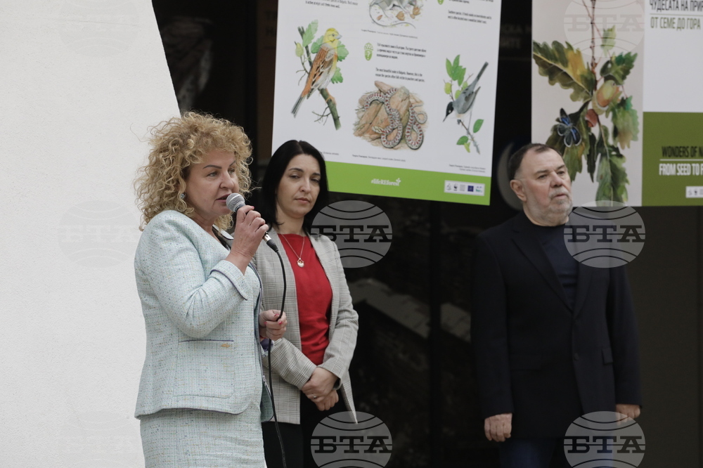 Седмица на гората - изложба - "Чудесата на природата: От семе до гора"