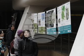 Седмица на гората - изложба - "Чудесата на природата: От семе до гора"