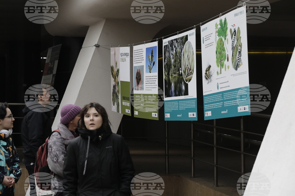 Седмица на гората - изложба - "Чудесата на природата: От семе до гора"