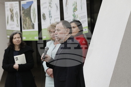 Седмица на гората - изложба - "Чудесата на природата: От семе до гора"