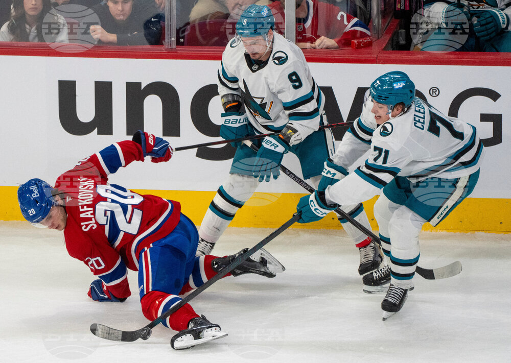 Sharks Canadiens Hockey