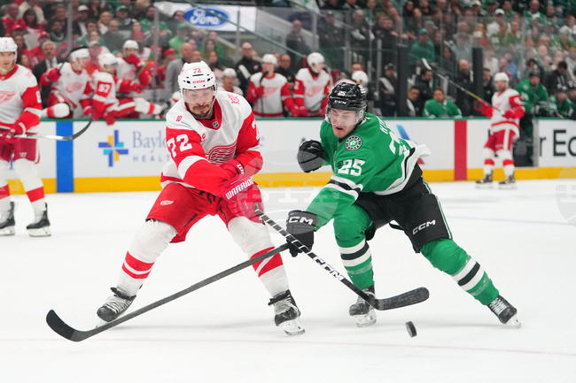 Red Wings Stars Hockey