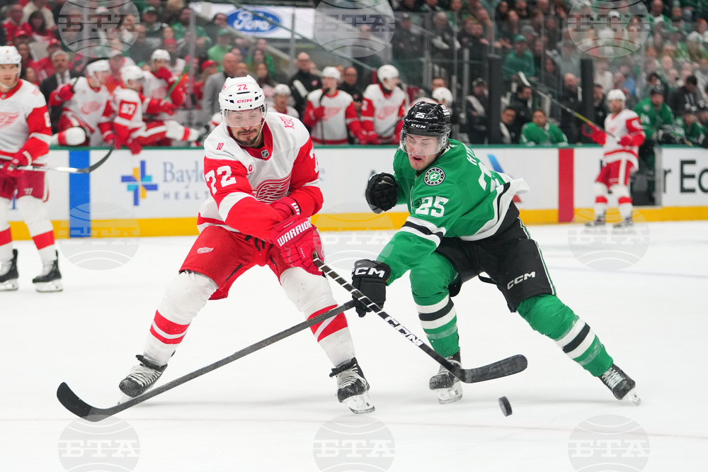 Red Wings Stars Hockey