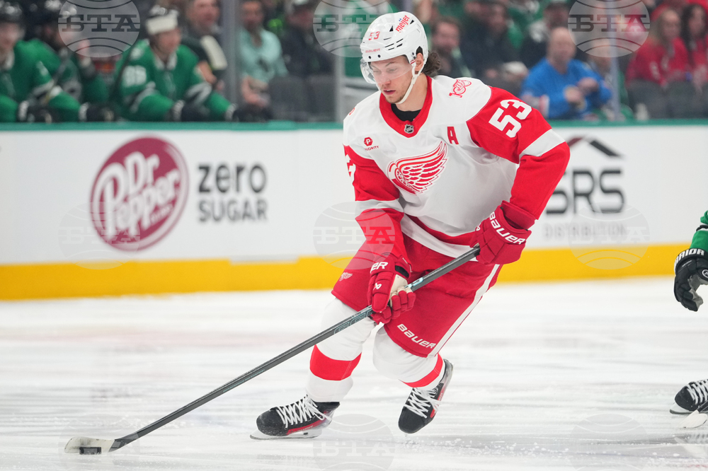 Red Wings Stars Hockey