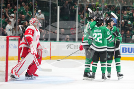 Red Wings Stars Hockey