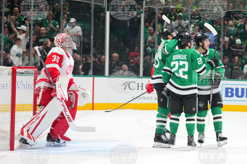 Red Wings Stars Hockey