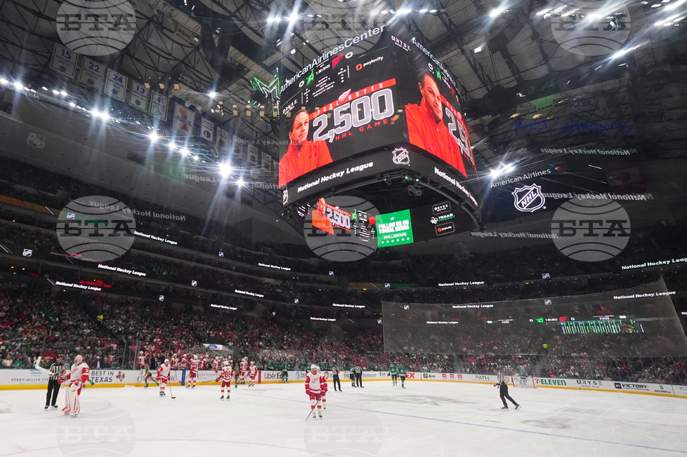 Red Wings Stars Hockey