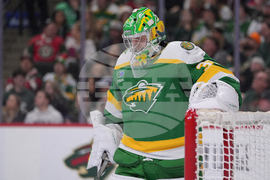 Rangers Wild Hockey