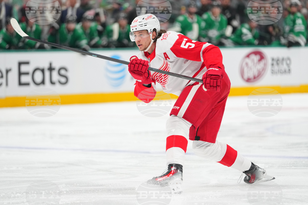 Red Wings Stars Hockey