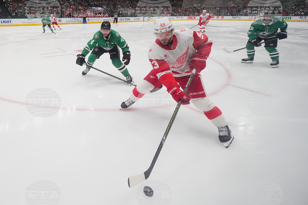 Red Wings Stars Hockey