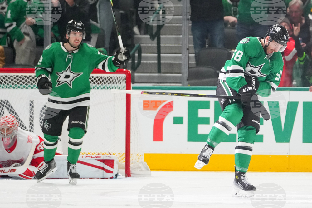 Red Wings Stars Hockey