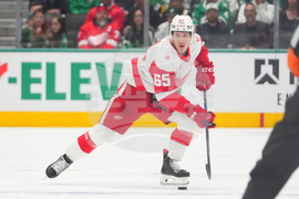 Red Wings Stars Hockey