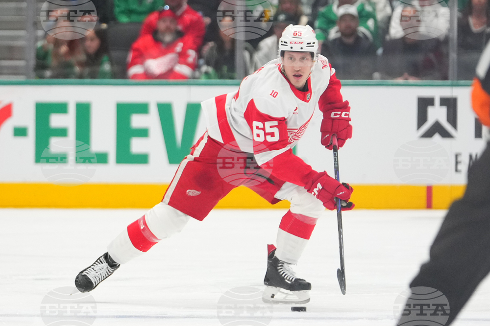 Red Wings Stars Hockey