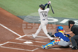 WBC Venezuela Japan Baseball