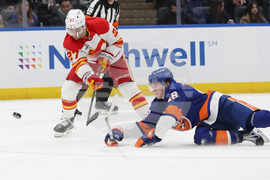 Flames Islanders Hockey