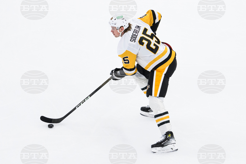 Penguins Mammoth Hockey