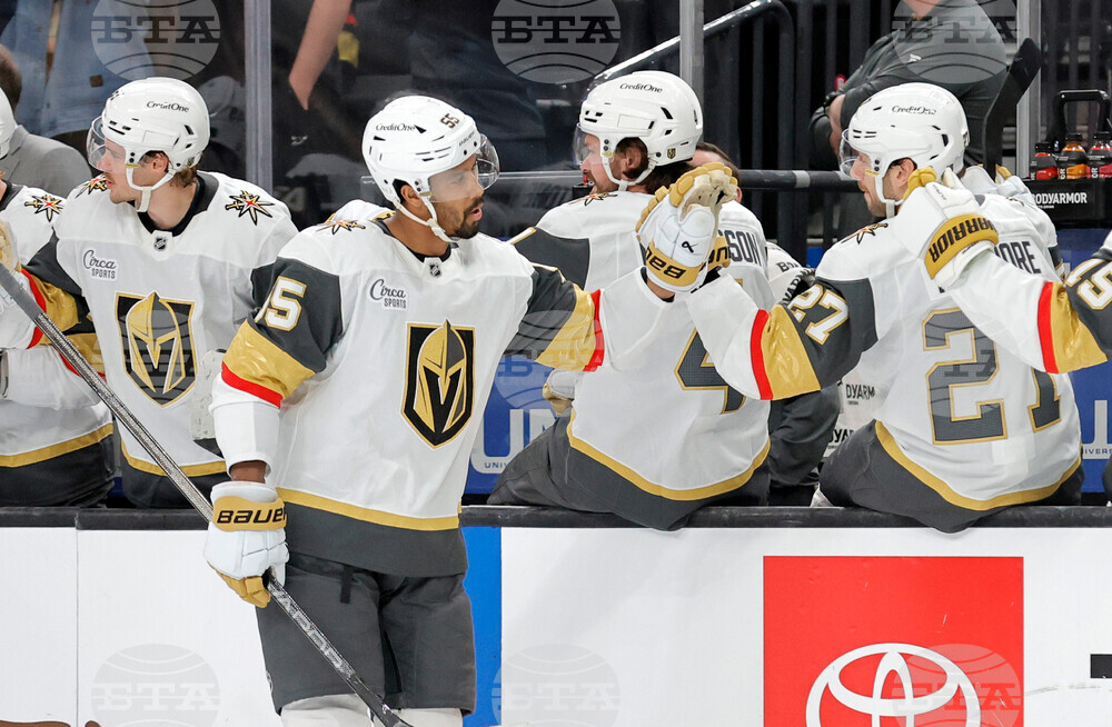 Blackhawks Golden Knights Hockey