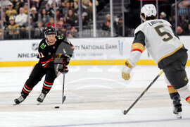 Blackhawks Golden Knights Hockey