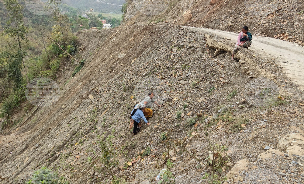 Nepal India Accident