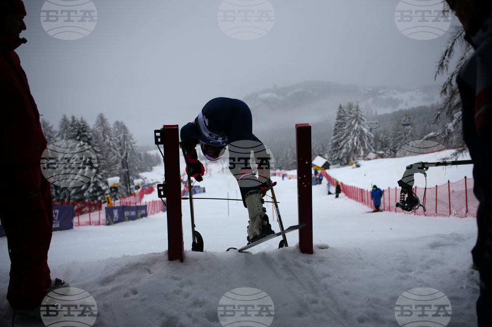 Milan Cortina Paralympics Alpine Skiing